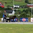 "Torvikbukt Open" i hesteskokasting 15.juli 2008.