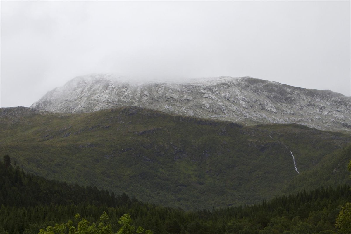 Torvikbukt 6 topper 8.september 2012.